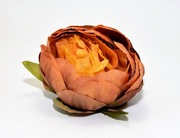 Ekskluzywna Główka Piwonii –Herbaciany brąz z żółtym środkiem– Premium DIY