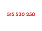 515 520 015 STARTER NJU MOBILE KARTA SIM UNIKATOWY ZŁOTY PROSTY ŁATWY NUMER