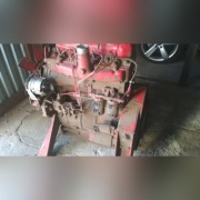 Części silnik International IHC D239 4cyl. Rozrząd