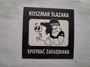 Vlepki Zagłębie Sosnowiec Anty Śląsk #1