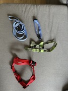 Szelki dla szczeniaka/małego pieska obroża smycz