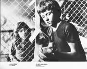 MAREK SIKORA gołębie fotografia fotos film KONIEC WAKACJI 24x30 cm