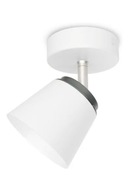 Lampa Philips Dender 1Xled 53340/31/16, 1 LED 4 W