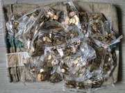 Woreczek menniczy 1 grosz z 2005 roku - 55 sztuk (cena za całość)