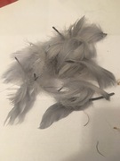 Piórka dekoracyjne szare 50g