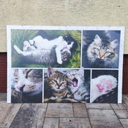 Antyrama z ułożonymi puzzlami (kotki), 1000 el.