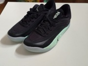 Nike Air Jordan Zion 4 Nowe 43