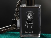 Rottweiler brelok sześcienny ŚWIECĄCY