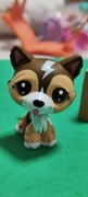 Littlest pet shop Husky z serii Basic Fun (Retro G2) #88.