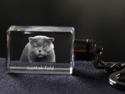Scottish Fold brelok sześcienny Świecący