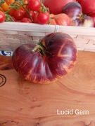 Pomidor  Lucid Gem    kolekcjonerski