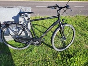 Rower trekkingowy Pegasus Sante 28"