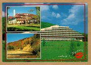 Wysowa mozaika Biawena