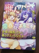 Komiks dla dorosłych hentai manga prosto z Japonii