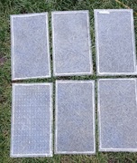 Szyba ornamentowa koniczyna