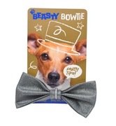 Brokatowe muszki dla twojego  pupila