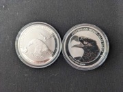 Wedge-Tailed Eagle 2018 - Orzeł Australijski