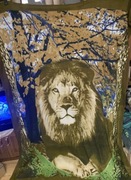 Pingwin nowe koce 160x210 dwa wzory lew i pies