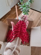 Duże choinki na okno