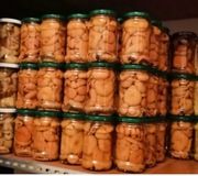 Rydze marynowane  Palce lizać!