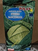 Kapusta biała "Ditmarska Najwcześniejsza"