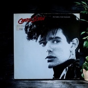 Charlie Sexton Pictures For Pleasure 1985 VG+ Vinyl LP 12