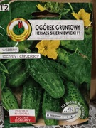 Ogórek "Hermes Skierniewicki F1" na taśmie 