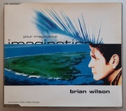 BRIAN WILSON Your Imagination BEACH BOYS