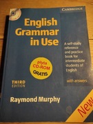 English grammar in use - Murphy (Cambridge)