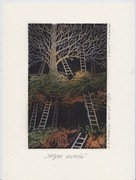 paweł jerzy migdalski - drzedwo głupców 2/40