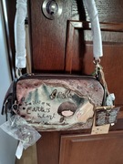 Torebka/kuferek Anekke Core