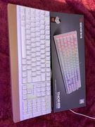 Klawiatura mechaniczna dla graczy Genesis thor 303 Outemu Peach Silent