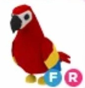 PARROT FR ADOPT ME