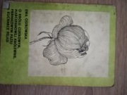 o królu cukrowym marcepanowej królewnie 