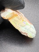 Opal szlachetny (opal tęczowy)  Coober Pedy, Australia
