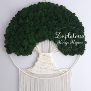 Drzewo makrama mech chrobotek