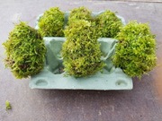 Jajka z mchu wielkanocne