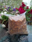 Pyłek pszczeli 1 kg z własnej pasieki niska cena!