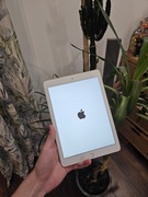 Apple iPad 5 generacji