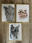 Obrazy koty malowane recznie w ramkach 30x40