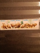 Rok 1981. Fi 2608-2612**pasek**