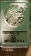 20zł.1998r.Ropucha Paskówka-PR70