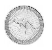 Australijski Kangur 1 uncja srebra x 25 sztuk 2019 rok TUBA