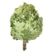 DĘBOWY WITEK SPA Z KARPAT - WITEK DO SAUNY Z DĘBU