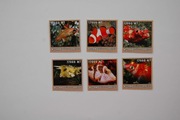 Mozambik Sw 2657-62** ryby