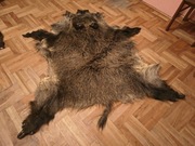 Naturalna skóra z dzika 