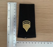 US Army - Shoulder Marks, Enlisted - Specialist 6 E-6 (SP1) - male