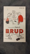 Brud Piotr C. Książka Pokolenia Ikea 