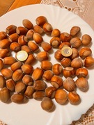 Orzechy laskowe 3kg Polskie świeże w skorupie zbiór 2025r 