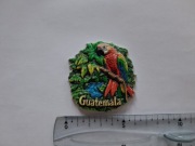 Magnes na lodówkę - 385g. GWATEMALA Papuga